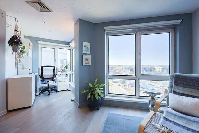 office space featuring a healthy amount of sunlight and light hardwood / wood-style floors