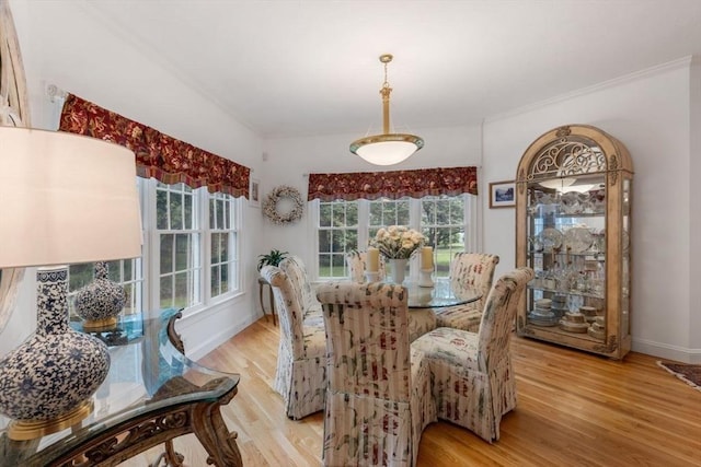 11 Forest Ln Unit 11, Scituate, MA 02066 - dining room with light wood-style flooring and crown molding