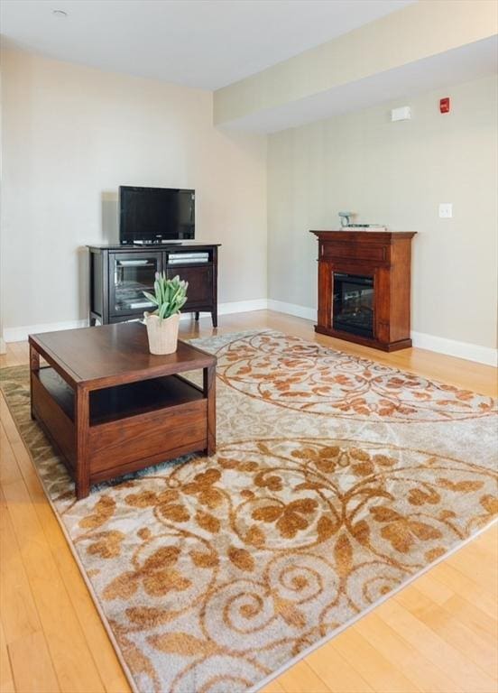 living room featuring wood-type flooring