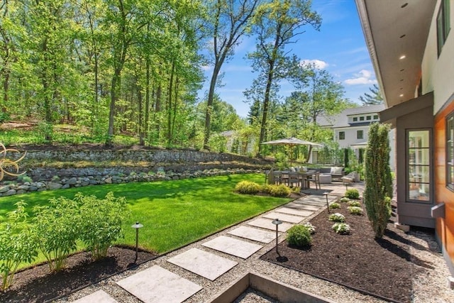 view of grassy yard featuring a patio