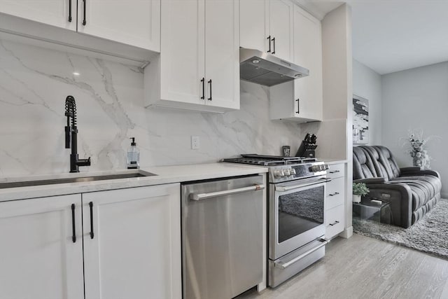 18 Artisan Dr Unit 208, Salem, NH 03079 - kitchen featuring appliances with stainless steel finishes, under cabinet range hood, a sink, light wood-style floors, and backsplash