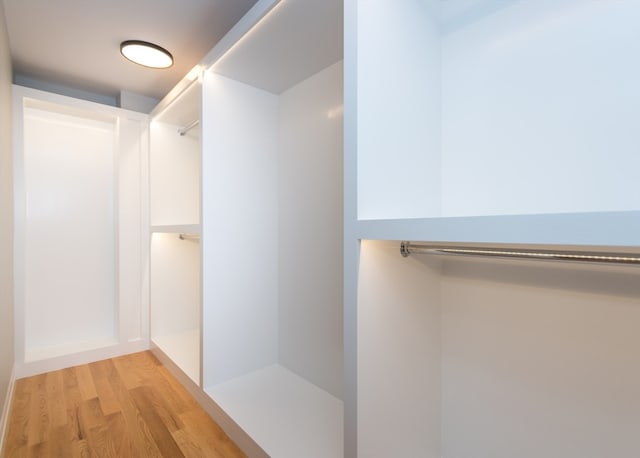 spacious closet featuring light wood-type flooring