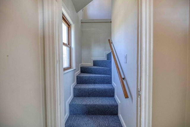 stairs with baseboards and carpet floors