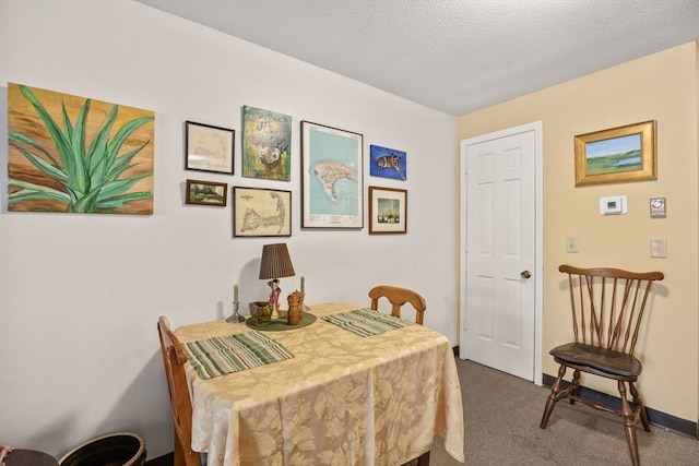 carpeted dining area featuring a textured ceiling