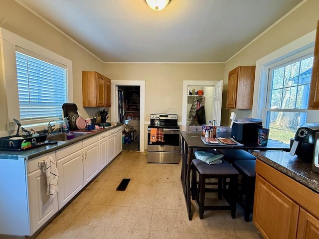 kitchen with stainless steel electric range, ornamental molding, and sink