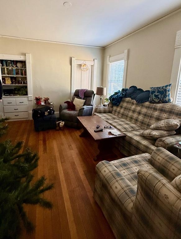 living room featuring hardwood / wood-style floors