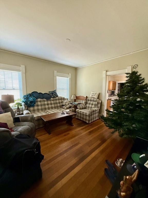 living room with wood-type flooring and ornamental molding