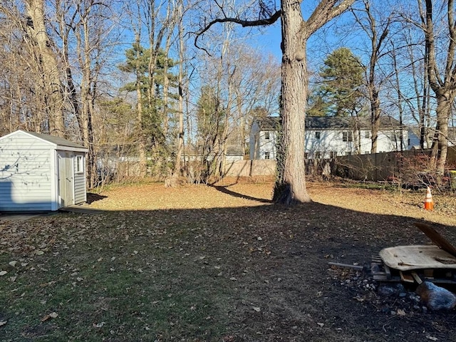 view of yard featuring a storage unit