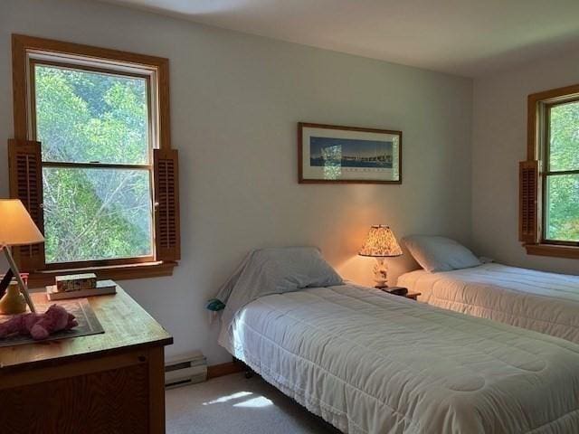 190 Longview Rd, West Tisbury, MA 02575 - bedroom featuring a baseboard radiator and carpet flooring
