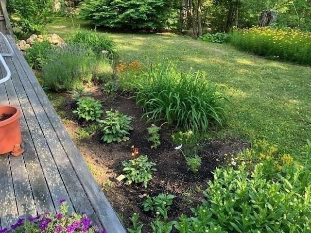 190 Longview Rd, West Tisbury, MA 02575 - view of green lawn
