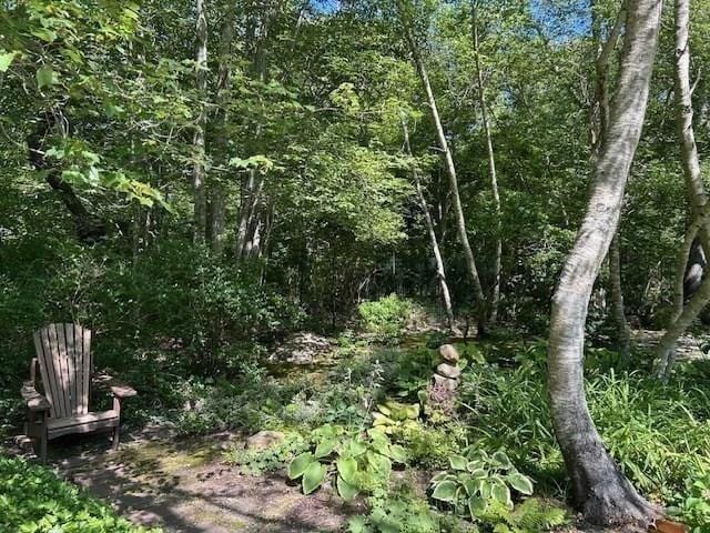 190 Longview Rd, West Tisbury, MA 02575 - view of local wilderness