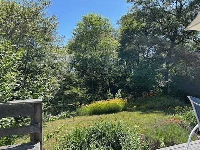 190 Longview Rd, West Tisbury, MA 02575 - view of yard