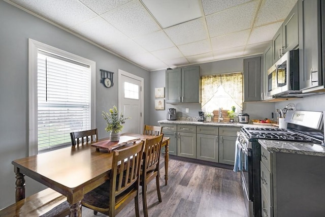 kitchen with stainless steel appliances, gray cabinetry, a wealth of natural light, and a sink