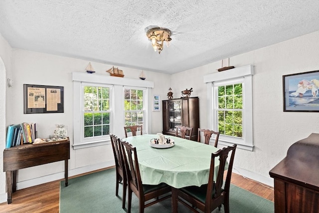 590 Hatherly Rd, Scituate, MA 02066 - dining space featuring plenty of natural light, wood finished floors, a textured ceiling, and a textured wall