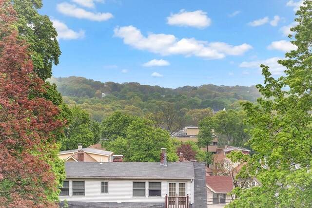 mountain view featuring a heavily wooded area