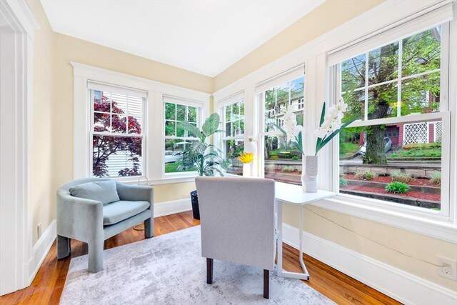 living area featuring plenty of natural light, wood finished floors, and baseboards