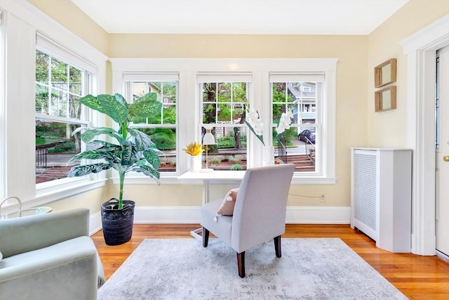 office area featuring radiator heating unit, wood finished floors, and baseboards
