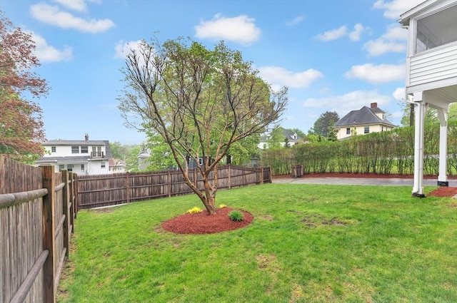 view of yard featuring a patio area