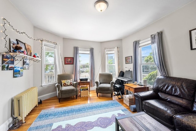 115 Elm St, Somerville, MA 02144 - living room featuring radiator heating unit, light wood-type flooring, and baseboards