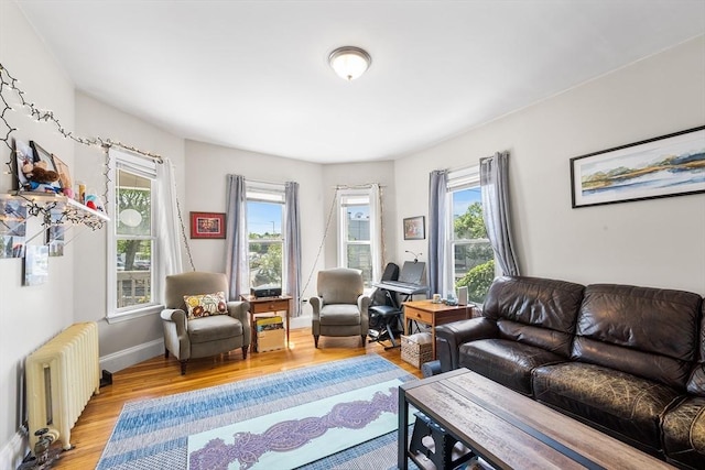 115 Elm St, Somerville, MA 02144 - living room featuring radiator, light wood-type flooring, healthy amount of natural light, and baseboards