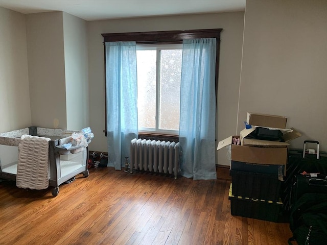 miscellaneous room featuring radiator, plenty of natural light, and hardwood / wood-style flooring