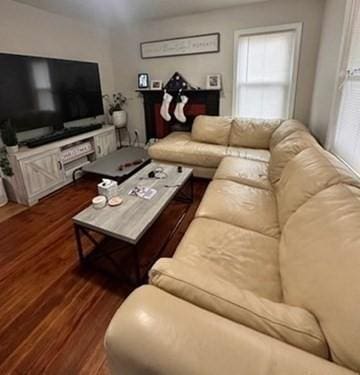 living room featuring dark hardwood / wood-style floors