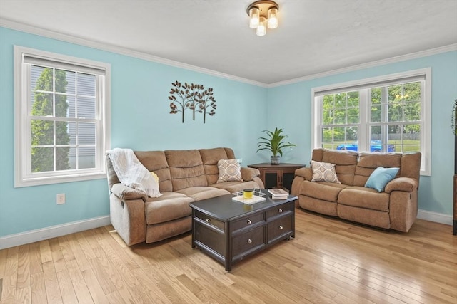 41 Belmont Ave Unit 41, Haverhill, MA 01830 - living room with light wood finished floors, plenty of natural light, baseboards, and ornamental molding