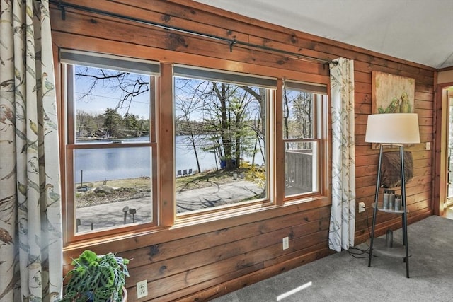 details featuring carpet, wooden walls, and a water view