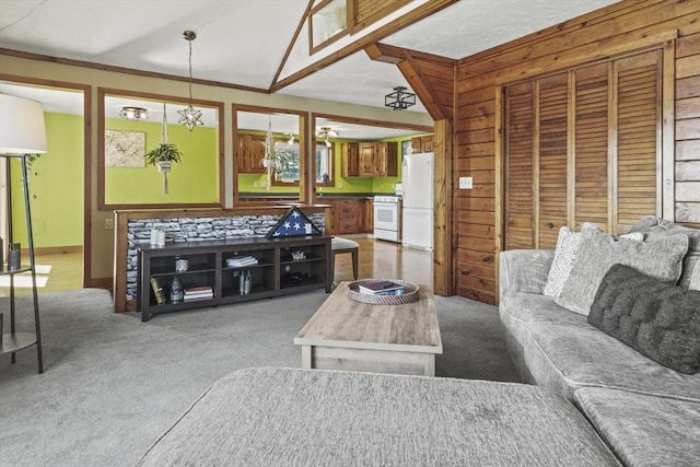 living area featuring wooden walls and carpet floors