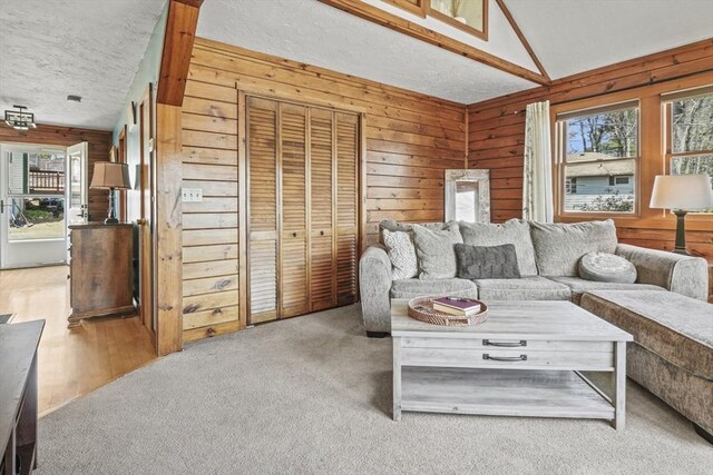 carpeted living area with wooden walls, a textured ceiling, and plenty of natural light