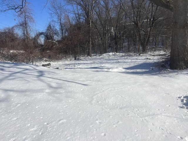 view of yard layered in snow