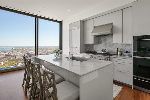 kitchen with a sink, wall chimney exhaust hood, decorative backsplash, floor to ceiling windows, and modern cabinets
