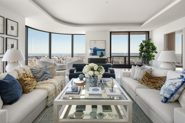 living area with expansive windows, a raised ceiling, and a healthy amount of sunlight