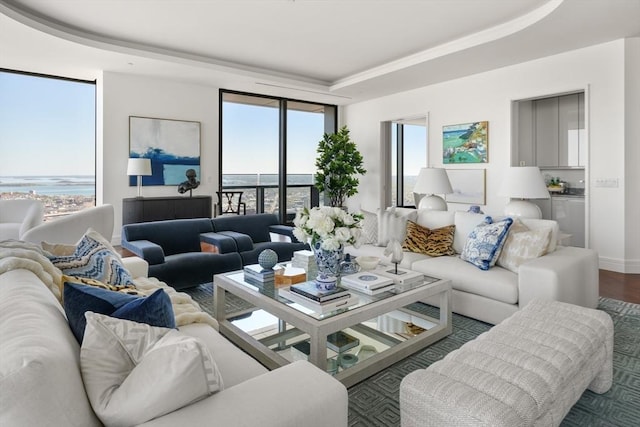 living room with a water view, a raised ceiling, plenty of natural light, and wood finished floors