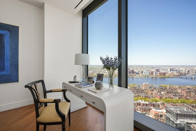 office area with a water view, plenty of natural light, a view of city, and wood finished floors