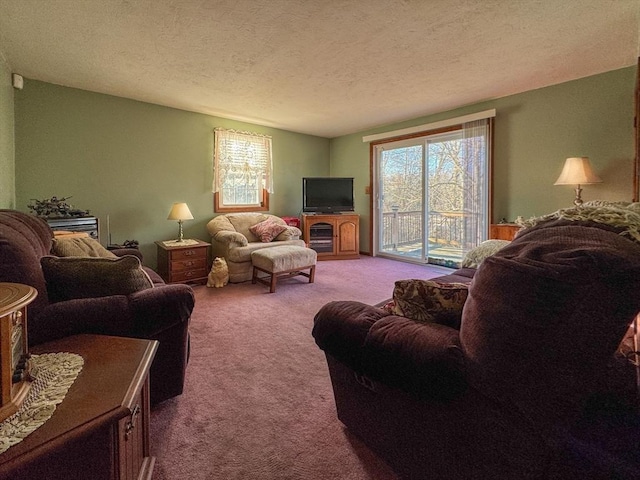 living room with carpet and a textured ceiling