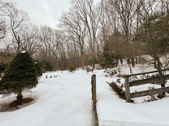 view of yard covered in snow