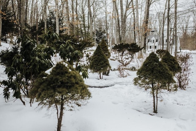 view of yard covered in snow