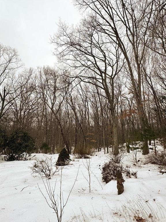 view of yard covered in snow