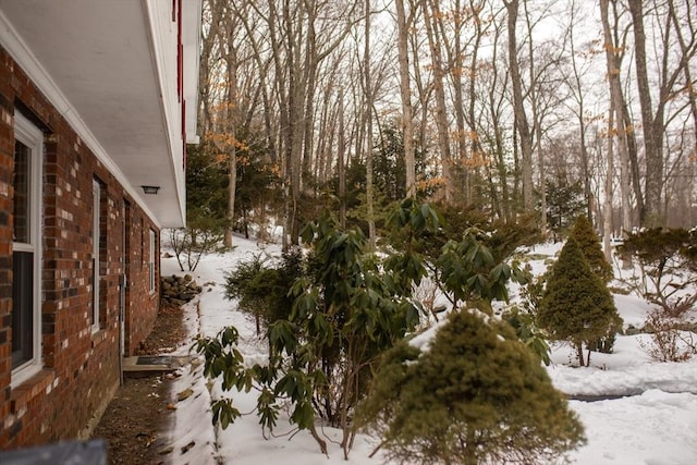 view of snowy yard