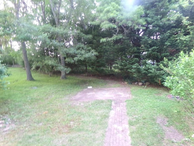 19 Saint Anns Ln, Falmouth, MA 02536 - view of green lawn