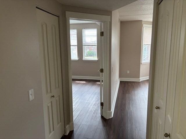 34 Sumner Ave Unit 302, Springfield, MA 01108 - hall with dark wood-type flooring and baseboards