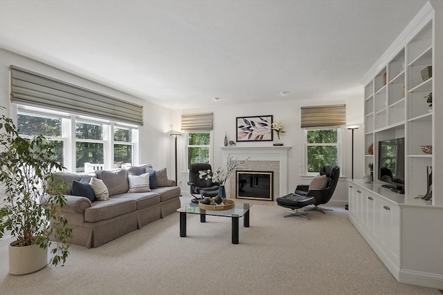 5 Mckinley Dr, Acton, MA 01720 - living room featuring light colored carpet and a fireplace
