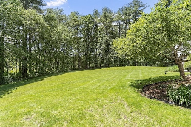 5 Mckinley Dr, Acton, MA 01720 - view of green lawn