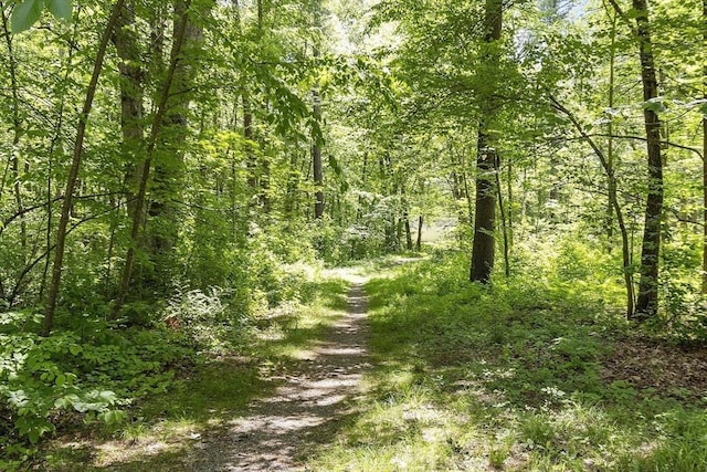 5 Mckinley Dr, Acton, MA 01720 - view of tree filled area