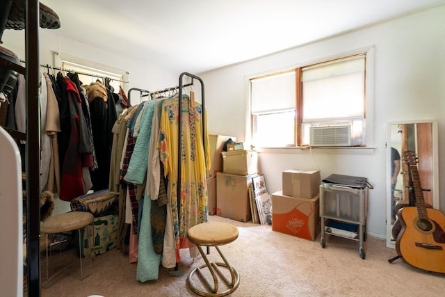 32 Fern St, Concord, MA 01742 - walk in closet with carpet floors and cooling unit