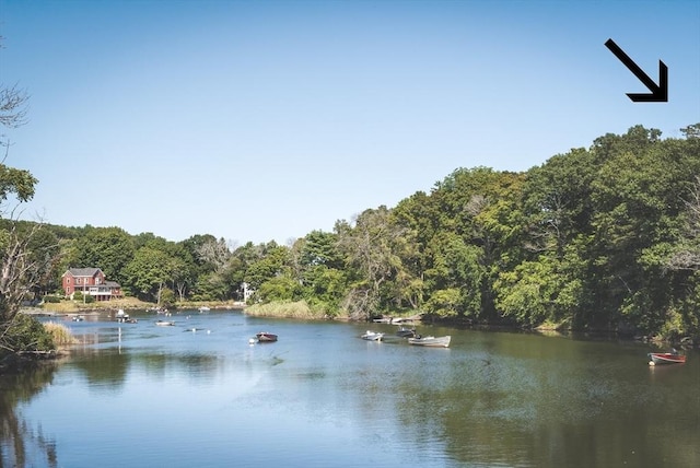 property view of water featuring a view of trees