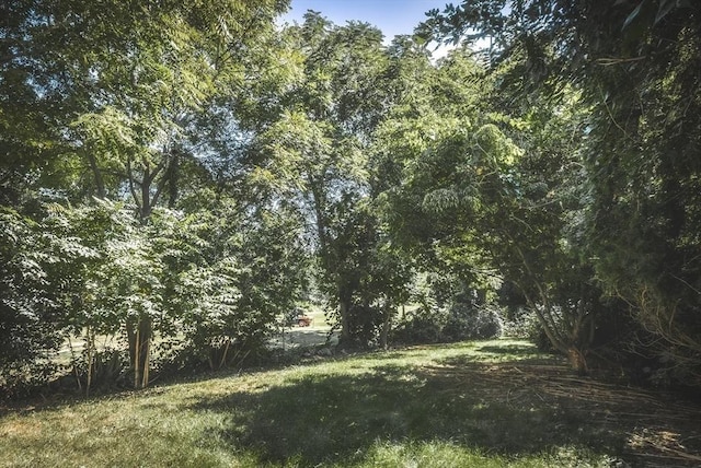 view of nature with a view of trees