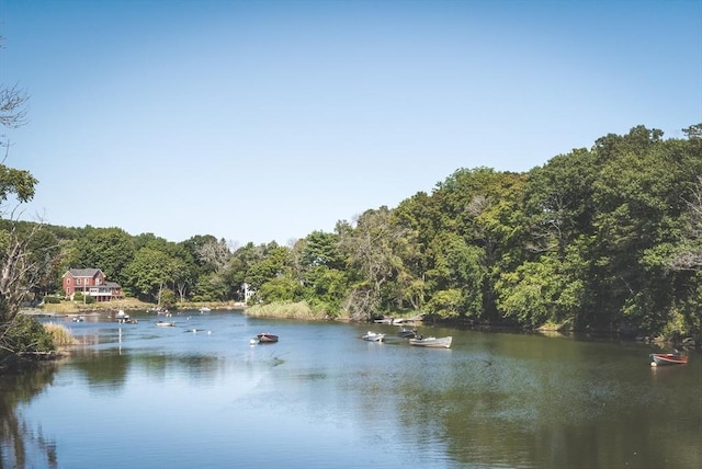 view of water feature featuring a view of trees