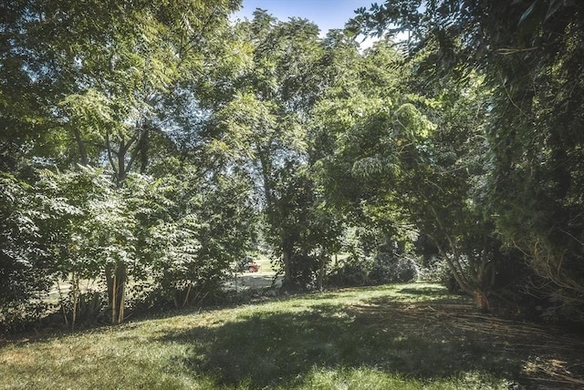 51 Turkey Shore Rd, Ipswich, MA 01938 - view of wooded area